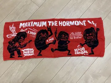 MAXIMUM THE HORMONE 타월