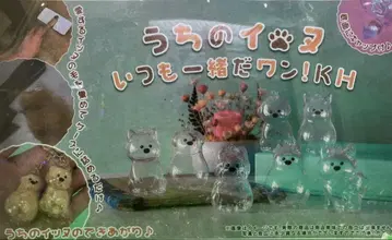 우리 강아지 언제나 함께다멍!