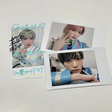 팬더 드래곤 파라곤 타이거 하피카 폴라로이드