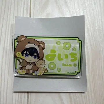 블루 록 아크릴 배지 플라워 베어