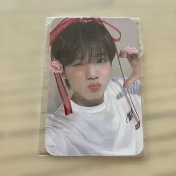 treasure 준규 리본 트레이딩 카드