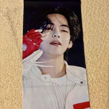 BTS 태현 (V) 슬로건 빨흰