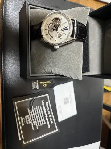 ORIENT STAR JOKER RK-AV0007S
