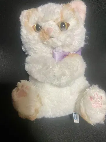 고양이 휘핑 크림 호이짱 봉제 인형