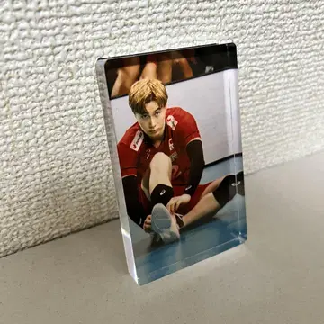타카하시 란 배구 베스트샷 아크릴 블록