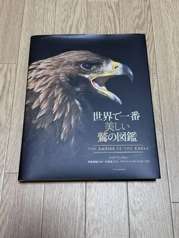 세상에서 가장 아름다운 독수리 도감 고품질