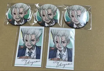 Dr.STONE AMOCAFE 순 이시가미 센쿠 비주얼 카드 캔뱃지