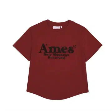 AMES-WORLDWIDE 라운드 헴 크롭 티