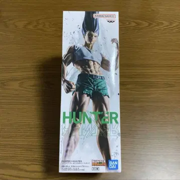 헌터헌터 곤 피그라이프 2