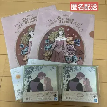 디즈니 프린세스 제일복권 오로라 공주 미니 캔버스 보드 클리어 파일