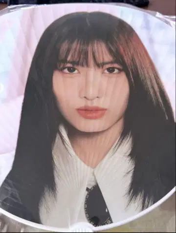 MISAMO 부채 세트