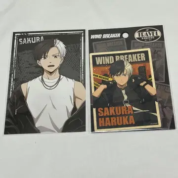 WIND BREAKER 윈브레 사쿠라 하루카 락가죽 바디가드