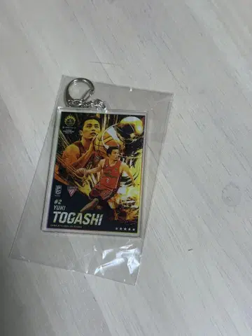 B.LEAGUE 복권 플라 토가시 유키 선수 아크릴 키링