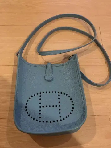 미니 에블린 백