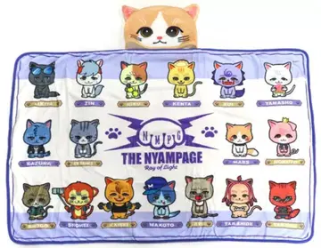 후지와라 이츠키 produce NYAMPAGE 담요 ~마스에 나리마스~