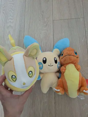 포켓몬 봉제 인형 세트