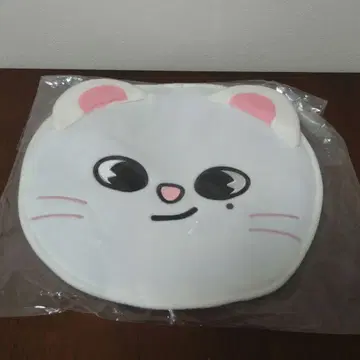 미개봉 Jiniret 부채 케이스 지니렛 현진