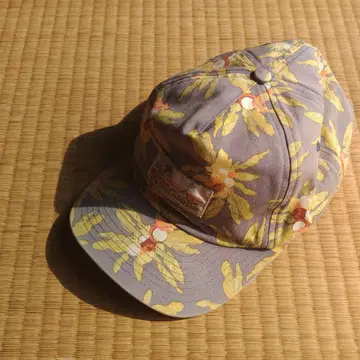 단종 patagonia 파타고니아 cap (one size)