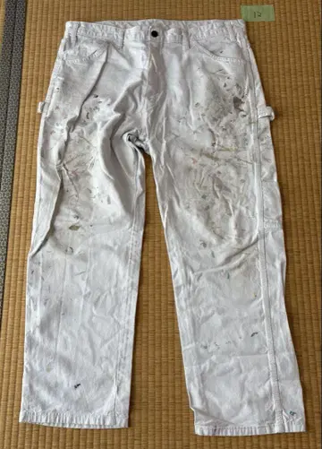12 Dickies Sherwin Williams w38