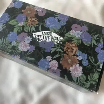Vans + BEAMSBOY DARK GARDEN