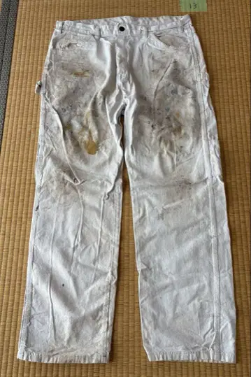 13 Dickies Sherwin Williams w36