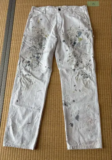14 Dickies Sherwin Williams w36