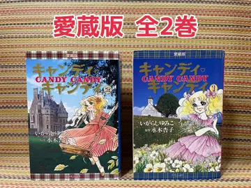 캔디 캔디 애장판 전 2권 이가라시 유미코