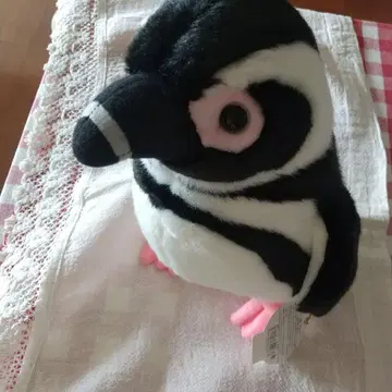 스미다 수족관의 펭귄 봉제 인형