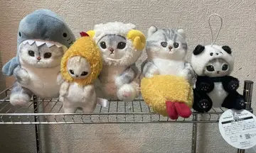 모프 샌드 봉제 인형 5종 세트