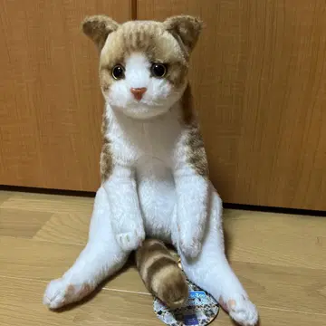 스와치 Zoo 냥코 봉제 인형