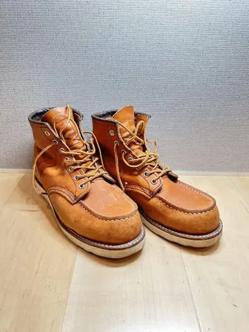 레드윙 875 US7E 25.0cm