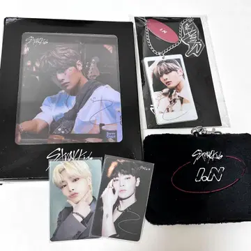 stray kids 아이엔 프라이스