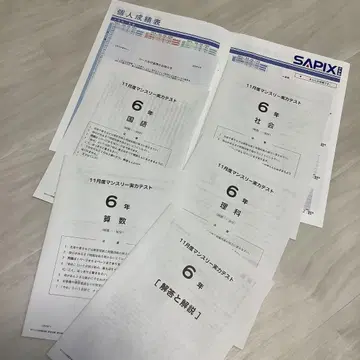 2023년 사피스 6년 11월도 먼슬리 실력 테스트 6학년