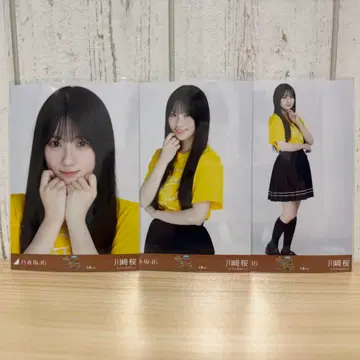 오사카 라이브 티셔츠 카와사키 사쿠라