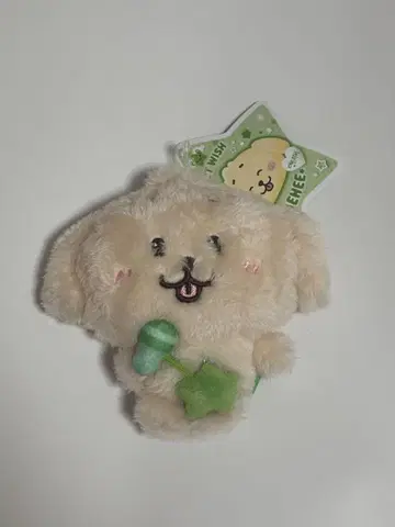 nctwish 덴트리버 재희
