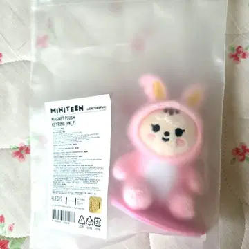 SEVENTEEN 정한 라무