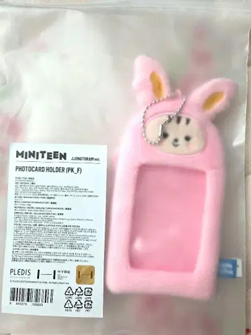 SEVENTEEN 정한 라무
