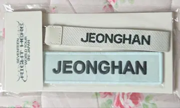 SEVENTEEN 정한 와펜