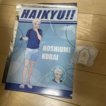 하이큐!! 호시우미 코라이