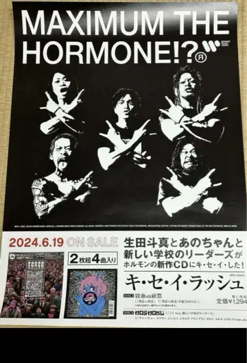 MAXIMUM THE HORMONE 포스터 접어서 발송