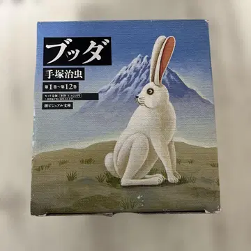 붓다 전 12권 세트