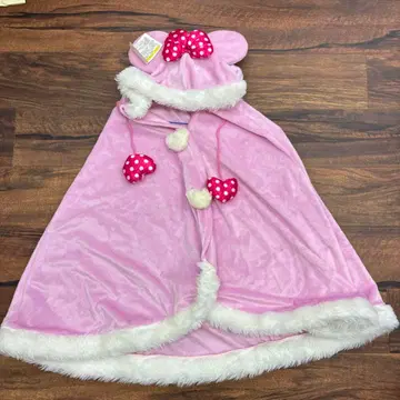 도쿄 Disney resort 판초 핑크 35