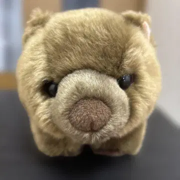 웜뱃 봉제 인형