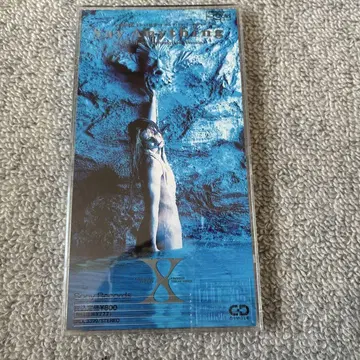 X/세이 애니싱