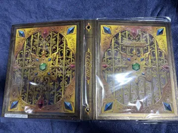 고져스 카구야 파일