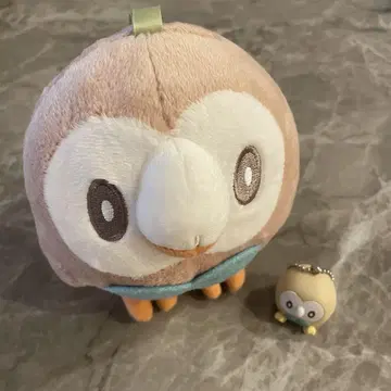 포켓몬 모크로 세트