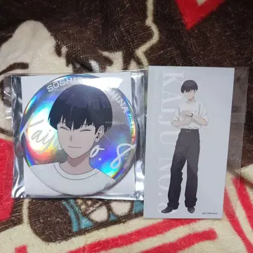 괴수 8호 호시나 소우시로