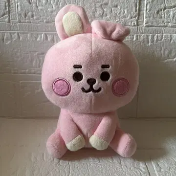 BTS BT21 정국 쿠키 봉제 인형