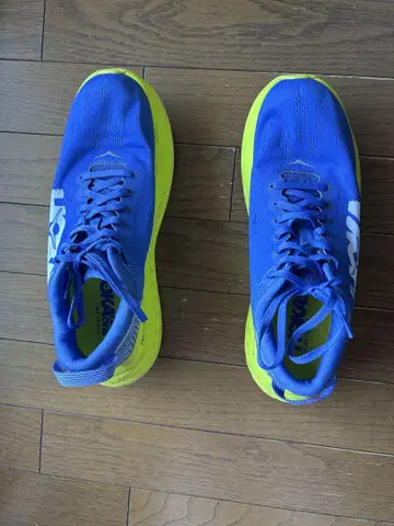HOKA ONE ONE M CARBON X 2 27cm