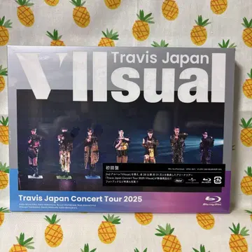 Travis Japan 콘서트 투어 2025 VIIsual
